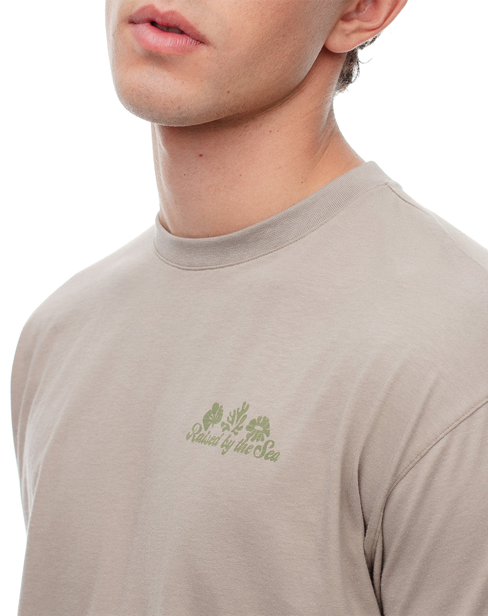 Camiseta regular fit manga corta taupe